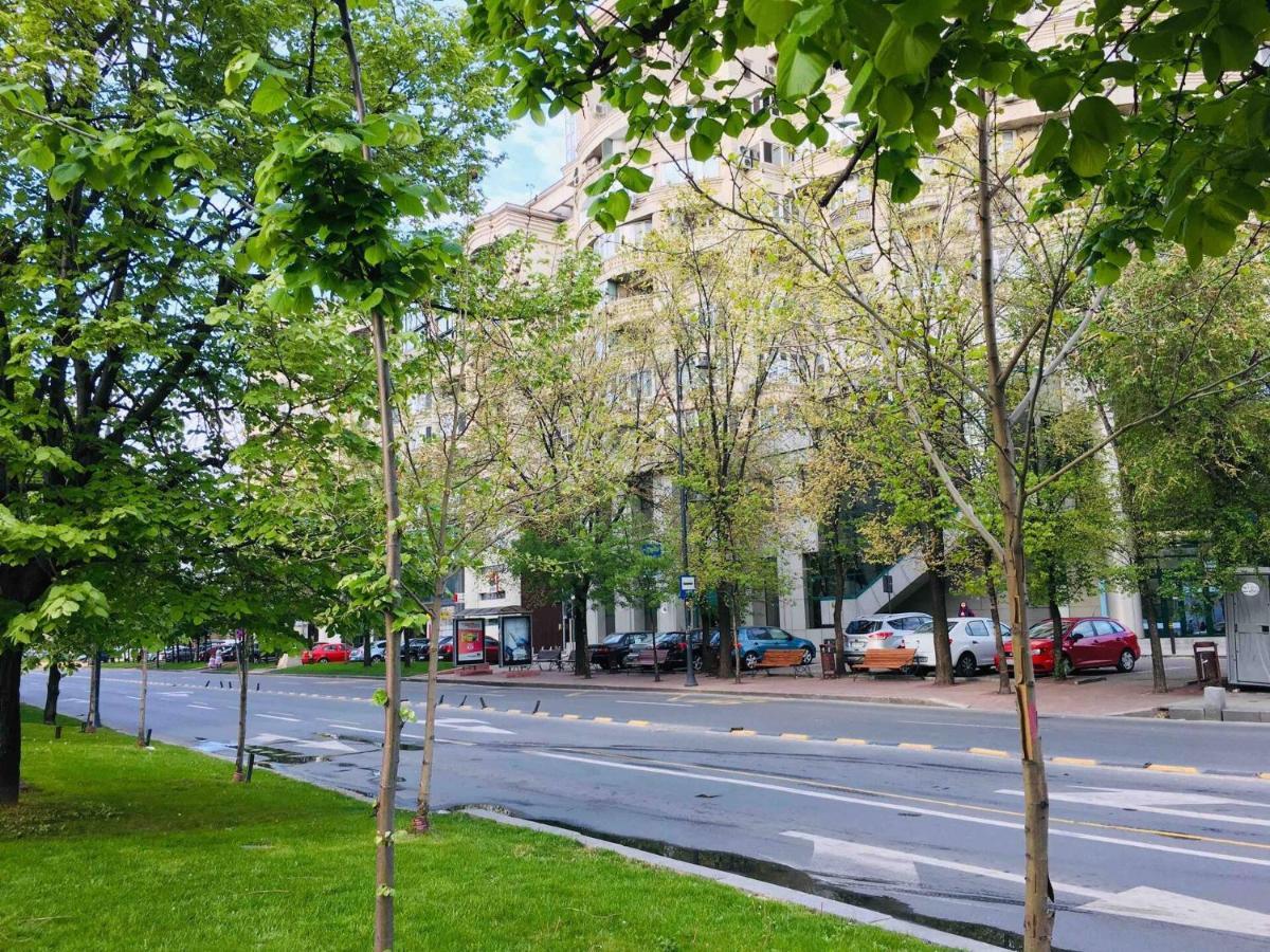 Alloggio in famiglia Center Unirii Square Private With View - Shared Amenities Bucarest